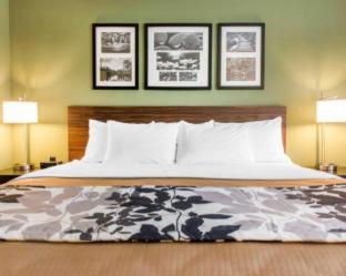 Room #141413410 at Sleep Inn & Suites Defuniak Springs - Crestview