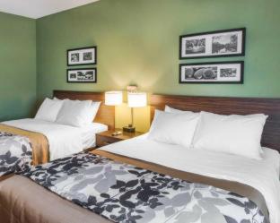 Room #141413411 at Sleep Inn & Suites Defuniak Springs - Crestview