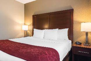 Room #49196106 at Comfort Suites Nacogdoches