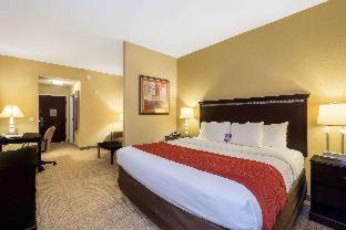Room #27498106 at Comfort Inn & Suites Maingate South