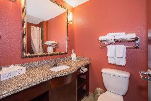 Room #27498106 at Comfort Inn & Suites Maingate South