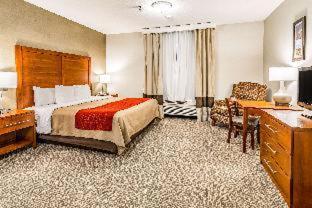 Room #49164505 at Comfort Inn & Suites Rapid City South - Mt. Rushmore Gateway