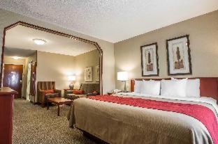 Room #49164505 at Comfort Inn & Suites Rapid City South - Mt. Rushmore Gateway