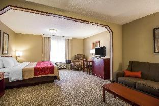 Room #49164505 at Comfort Inn & Suites Rapid City South - Mt. Rushmore Gateway