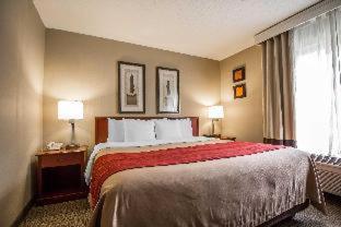 Room #49164505 at Comfort Inn & Suites Rapid City South - Mt. Rushmore Gateway