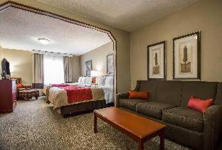 Room #49164505 at Comfort Inn & Suites Rapid City South - Mt. Rushmore Gateway
