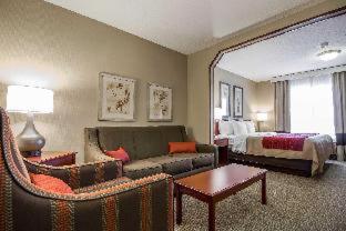 Room #49164505 at Comfort Inn & Suites Rapid City South - Mt. Rushmore Gateway
