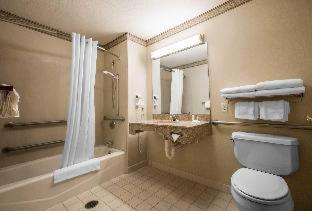 Room #49164505 at Comfort Inn & Suites Rapid City South - Mt. Rushmore Gateway