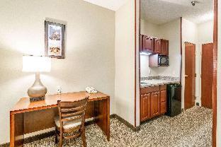 Room #49164506 at Comfort Inn & Suites Rapid City South - Mt. Rushmore Gateway