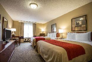 Room #49164506 at Comfort Inn & Suites Rapid City South - Mt. Rushmore Gateway