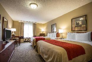 Room #49164506 at Comfort Inn & Suites Rapid City South - Mt. Rushmore Gateway