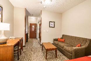 Room #49164507 at Comfort Inn & Suites Rapid City South - Mt. Rushmore Gateway