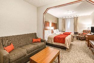 Room #49164507 at Comfort Inn & Suites Rapid City South - Mt. Rushmore Gateway