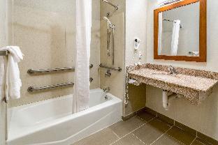 Room #49164510 at Comfort Inn & Suites Rapid City South - Mt. Rushmore Gateway