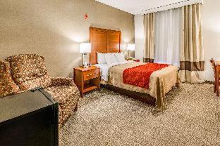Room #49164510 at Comfort Inn & Suites Rapid City South - Mt. Rushmore Gateway