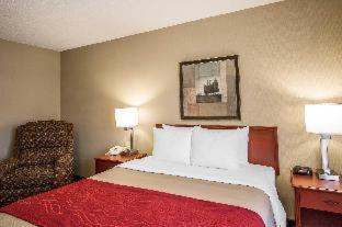 Room #49164508 at Comfort Inn & Suites Rapid City South - Mt. Rushmore Gateway