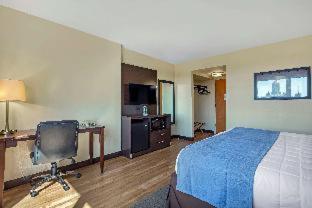 Room #19109528 at The Capitol Hotel