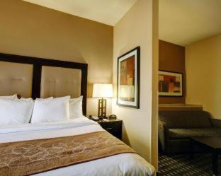 Room #49200403 at Comfort Suites Buda - Austin South