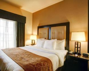Room #49200403 at Comfort Suites Buda - Austin South
