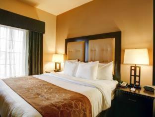 Room #49200403 at Comfort Suites Buda - Austin South