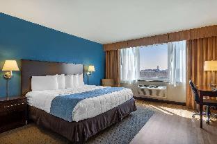 Room #19109528 at The Capitol Hotel