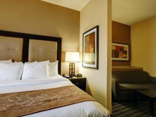 Room #49200403 at Comfort Suites Buda - Austin South