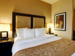 Room #49200403 at Comfort Suites Buda - Austin South