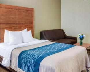 Room #48878710 at Comfort Inn & Suites El Dorado