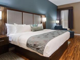 Room #188719828 at Best Western Plus Pflugerville