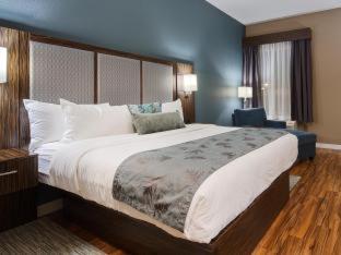 Room #188719828 at Best Western Plus Pflugerville
