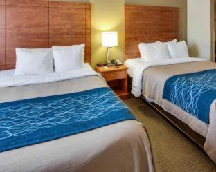 Room #48878712 at Comfort Inn & Suites El Dorado