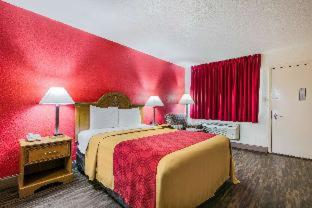 Room #48879708 at Econo Lodge Inn & Suites Flowood - Jackson Northeast