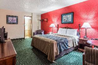 Room #48879708 at Econo Lodge Inn & Suites Flowood - Jackson Northeast