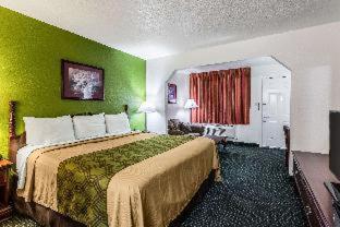 Room #48879709 at Econo Lodge Inn & Suites Flowood - Jackson Northeast
