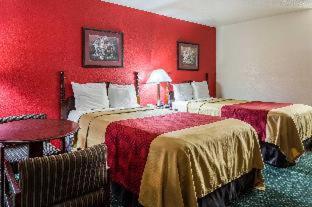 Room #48879710 at Econo Lodge Inn & Suites Flowood - Jackson Northeast