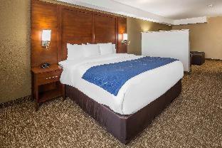 Room #30213719 at Comfort Suites El Paso Airport