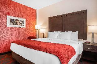 Room #237513705 at Comfort Inn & Suites near Stadium