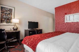 Room #237513705 at Comfort Inn & Suites near Stadium
