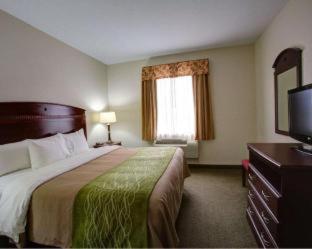 Room #49202404 at Quality Inn Rockdale