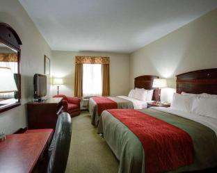 Room #49202405 at Quality Inn Rockdale