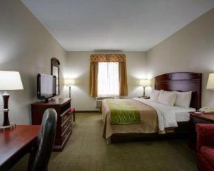 Room #49202406 at Quality Inn Rockdale