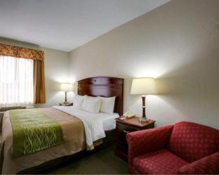 Room #49202406 at Quality Inn Rockdale