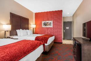 Room #237513708 at Comfort Inn & Suites near Stadium