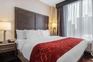 Room #237513707 at Comfort Inn & Suites near Stadium