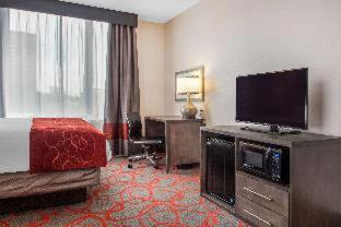 Room #237513707 at Comfort Inn & Suites near Stadium
