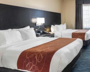 Room #49189603 at Comfort Suites Odessa near University