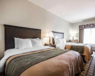 Room #48871405 at Comfort Inn & Suites Montgomery Eastchase