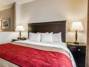 Room #48871406 at Comfort Inn & Suites Montgomery Eastchase