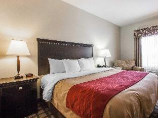 Room #48871407 at Comfort Inn & Suites Montgomery Eastchase