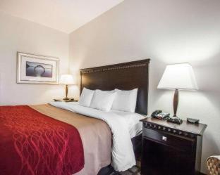 Room #48871407 at Comfort Inn & Suites Montgomery Eastchase